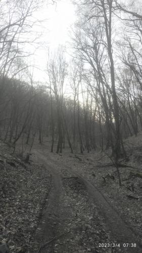 04.03.2023_Turistika(velo)_Devinska kobyla_21.7km_1den