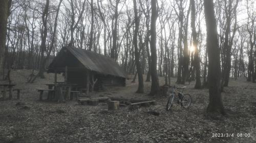 IMG 20230304 080032