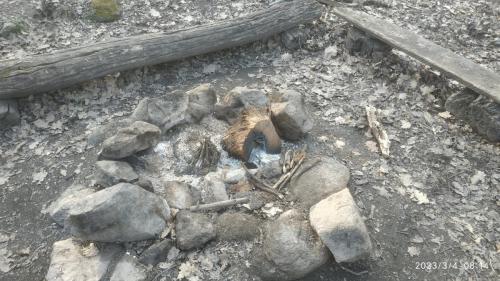 IMG 20230304 081431