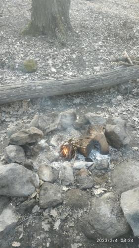 IMG 20230304 082410
