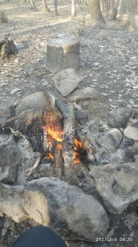 IMG 20230304 083535