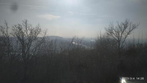 IMG 20230304 142902