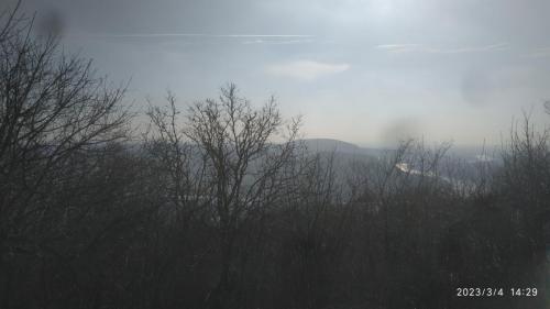 IMG 20230304 142904