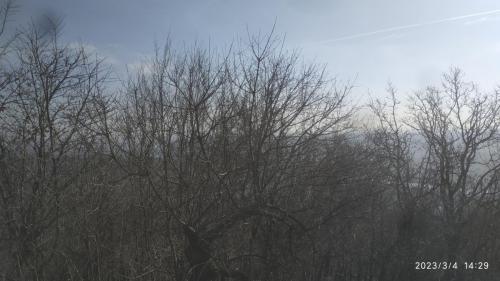 IMG 20230304 142908