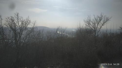 IMG 20230304 142913