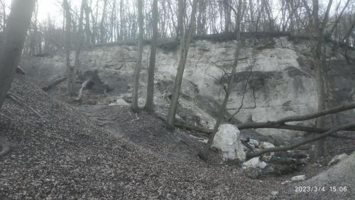 IMG 20230304 150619