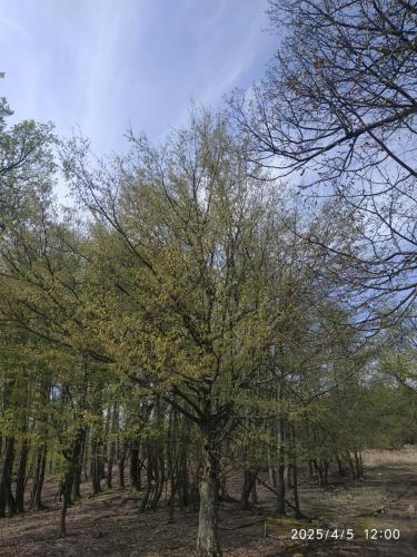 05.04.2025_Turistika(peso)_Raca_13km_1den