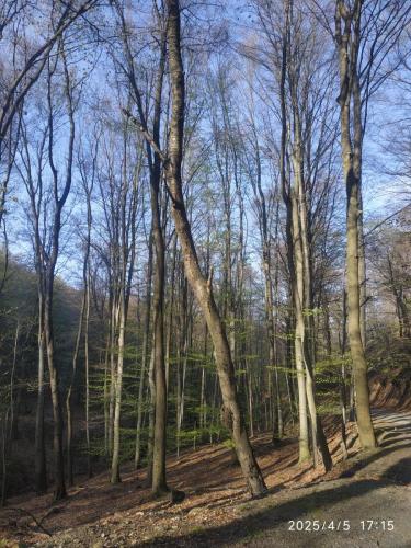 05.04.2025_Turistika_Raca