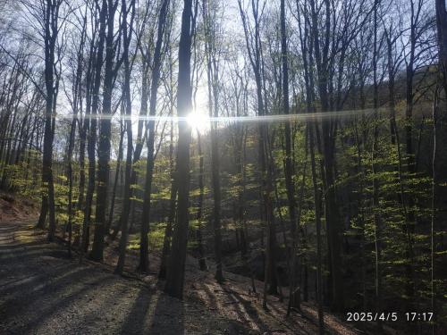 IMG 20250405 171718