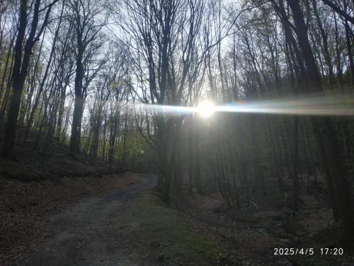 IMG 20250405 172033