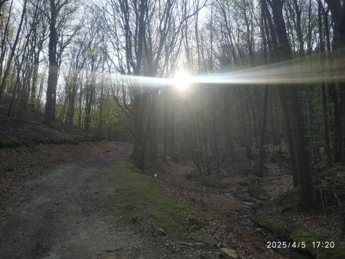 IMG 20250405 172035