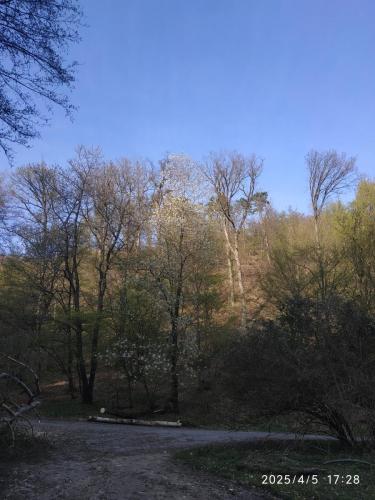 IMG 20250405 172815