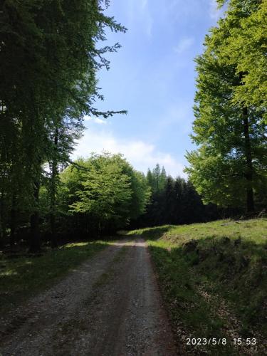 IMG 20230508 155313