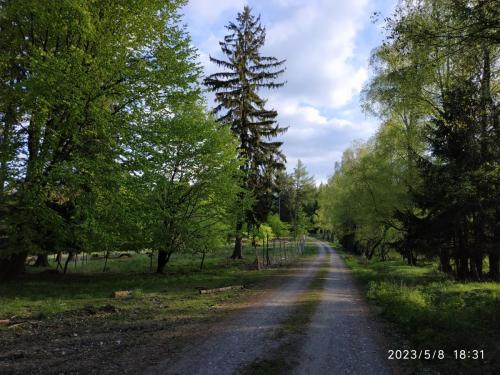 IMG 20230508 183154