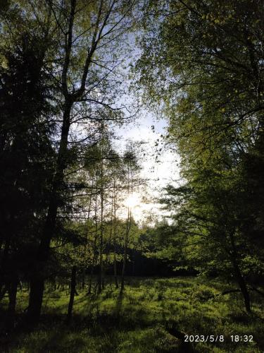 IMG 20230508 183215