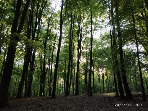 IMG 20230508 190140