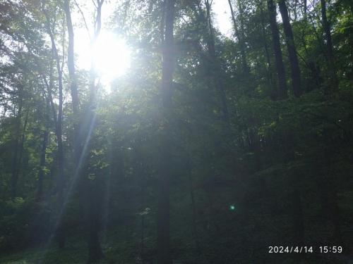IMG 20240414 155956
