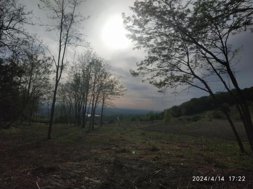 IMG 20240414 172248