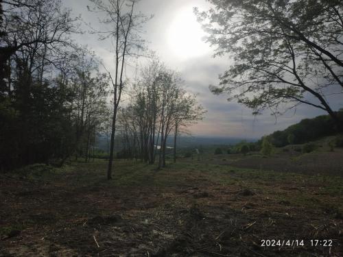 IMG 20240414 172254