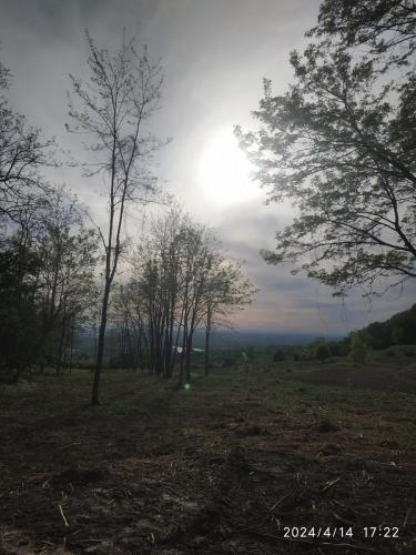 IMG 20240414 172256