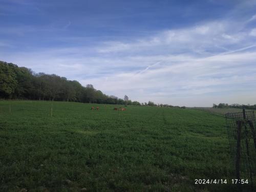 IMG 20240414 175430