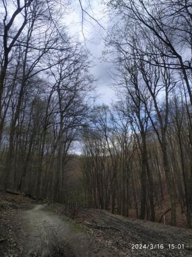 17.03.2024_Turistika(peso)_Kamzik_p2_12km_1den