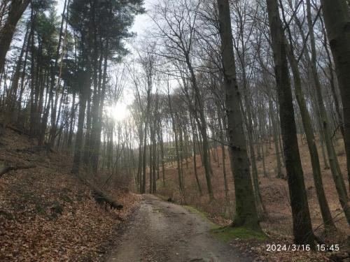 17.03.2024_Turistika_Kamzik_p2_12km