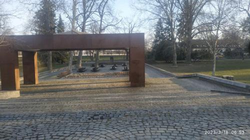 IMG 20230318 065330