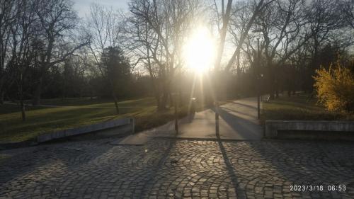 IMG 20230318 065336