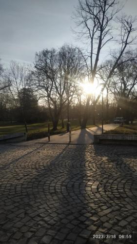 IMG 20230318 065956
