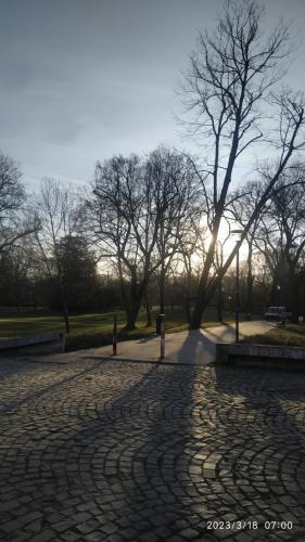 IMG 20230318 070012
