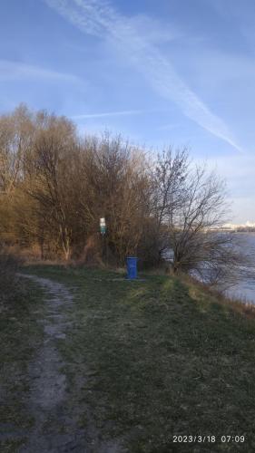 IMG 20230318 070921