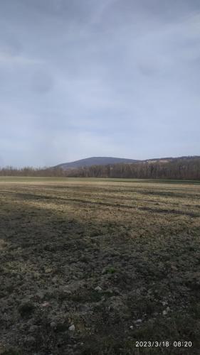 IMG 20230318 082002