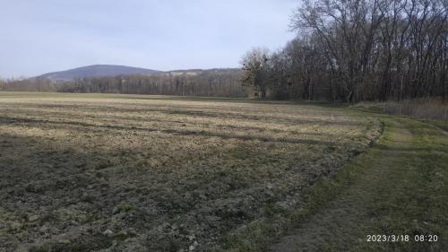 IMG 20230318 082006