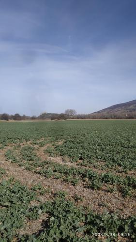 IMG 20230318 092552