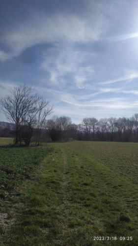 IMG 20230318 092557