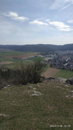IMG 20230318 121910