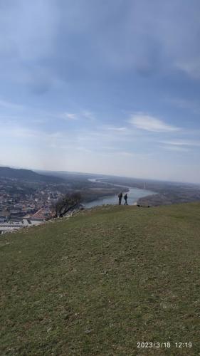 IMG 20230318 121919