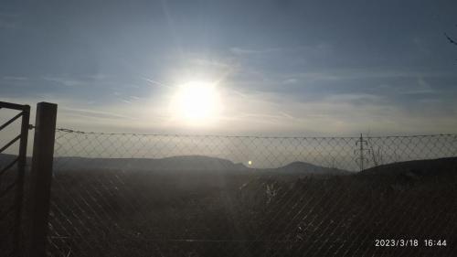 IMG 20230318 164452