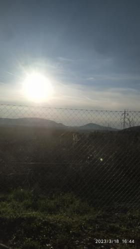 IMG 20230318 164454