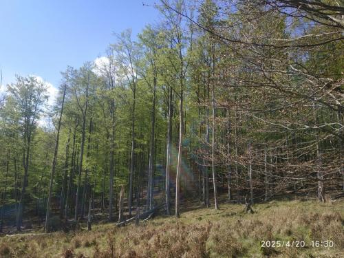 19.04.2025_Turistika(peso)_Pernek_47km_4dni