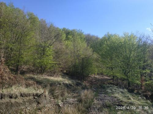 IMG 20250420 163035