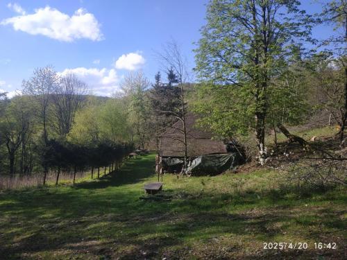 IMG 20250420 164252