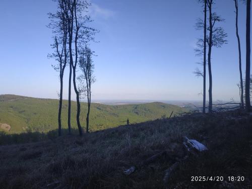 IMG 20250420 182002