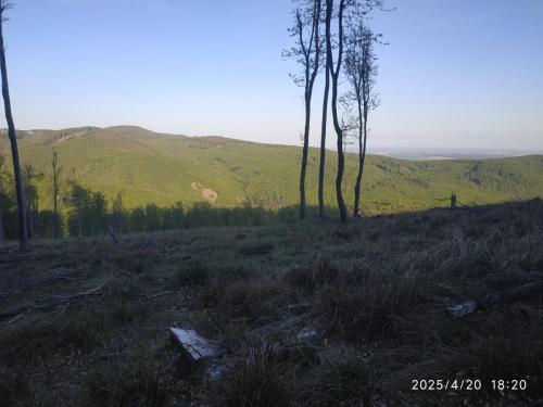 IMG 20250420 182003