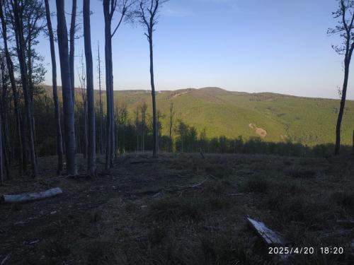 IMG 20250420 182005