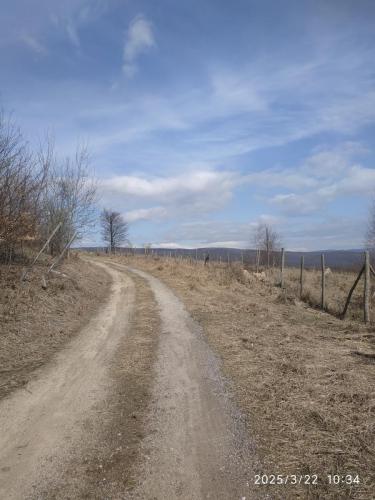 22.03.2025_Turistika(peso)_SvatyJur_17км_1den