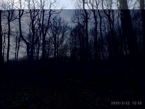 IMG 20250322 125258