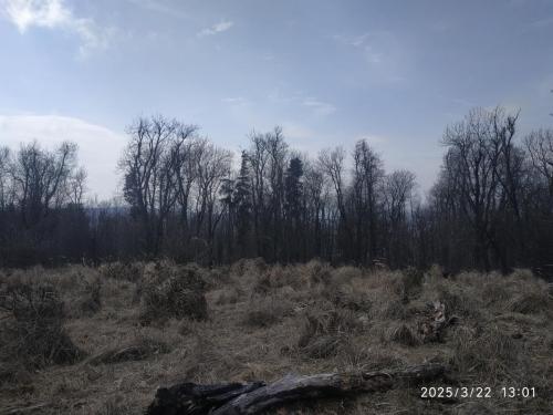 IMG 20250322 130157