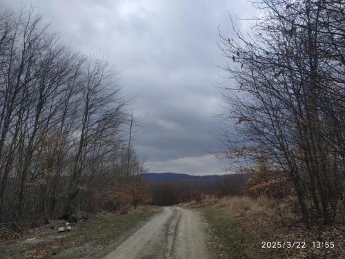 IMG 20250322 135511